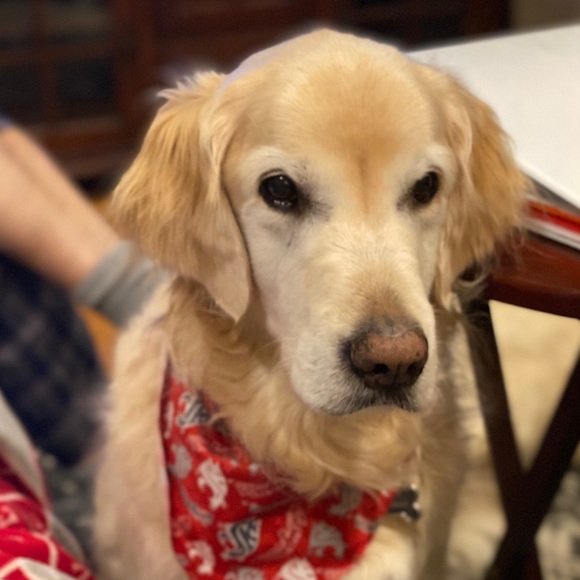 Meet the Posher - Picture 2 of 6